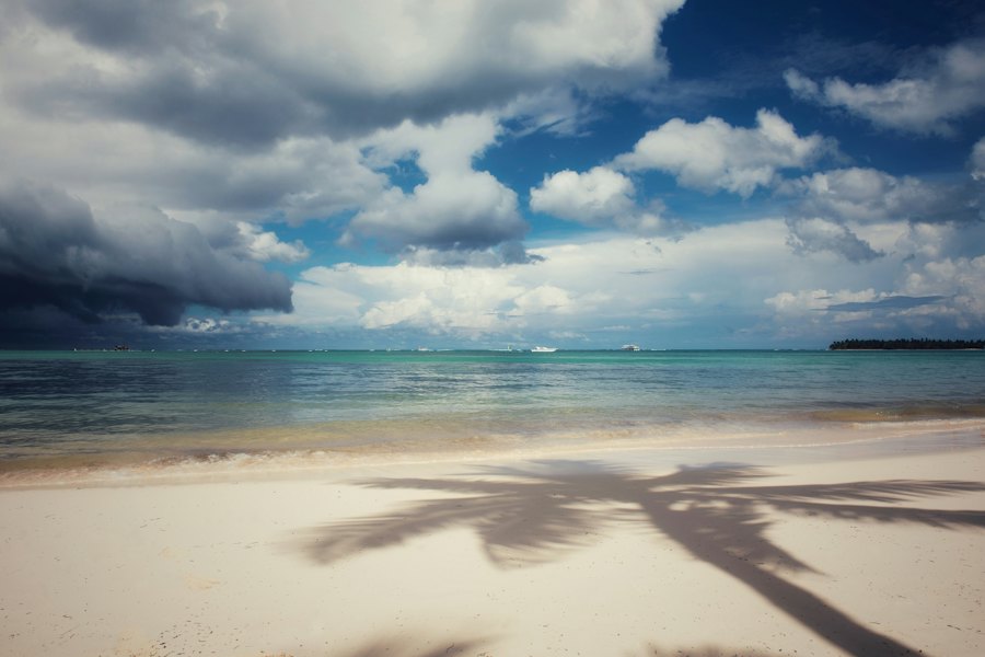 La sombra de una palmera sobre la arena de Playa Bávaro, con el mar calmo y nubes.
