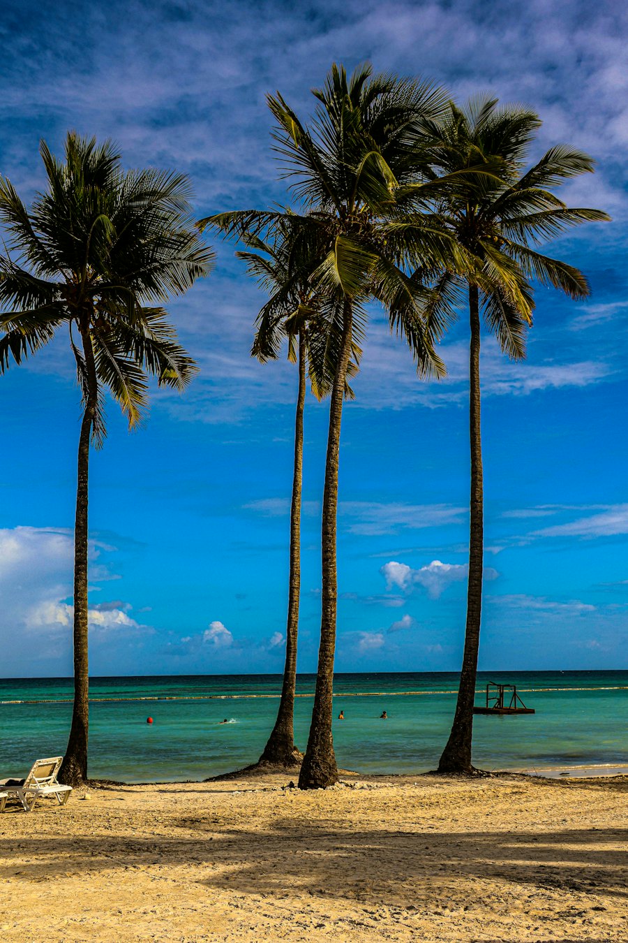 Playa Juanillo, en Cap Cana: palmeras sobre la arena blanca y cielo despejado.