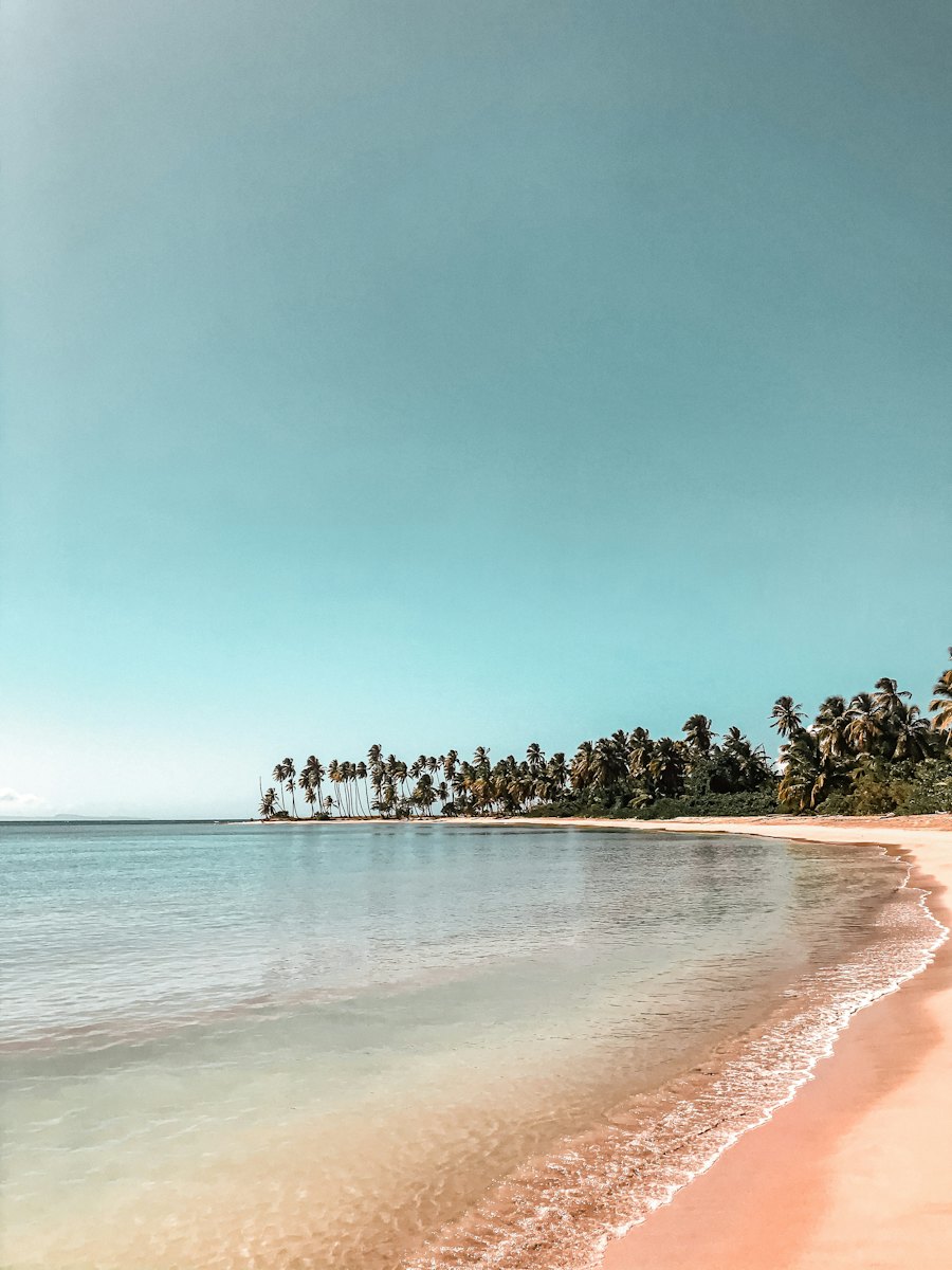 Playa Esmeralda, en Miches: arena, olas suaves y una hilera de cocoteros al fondo.