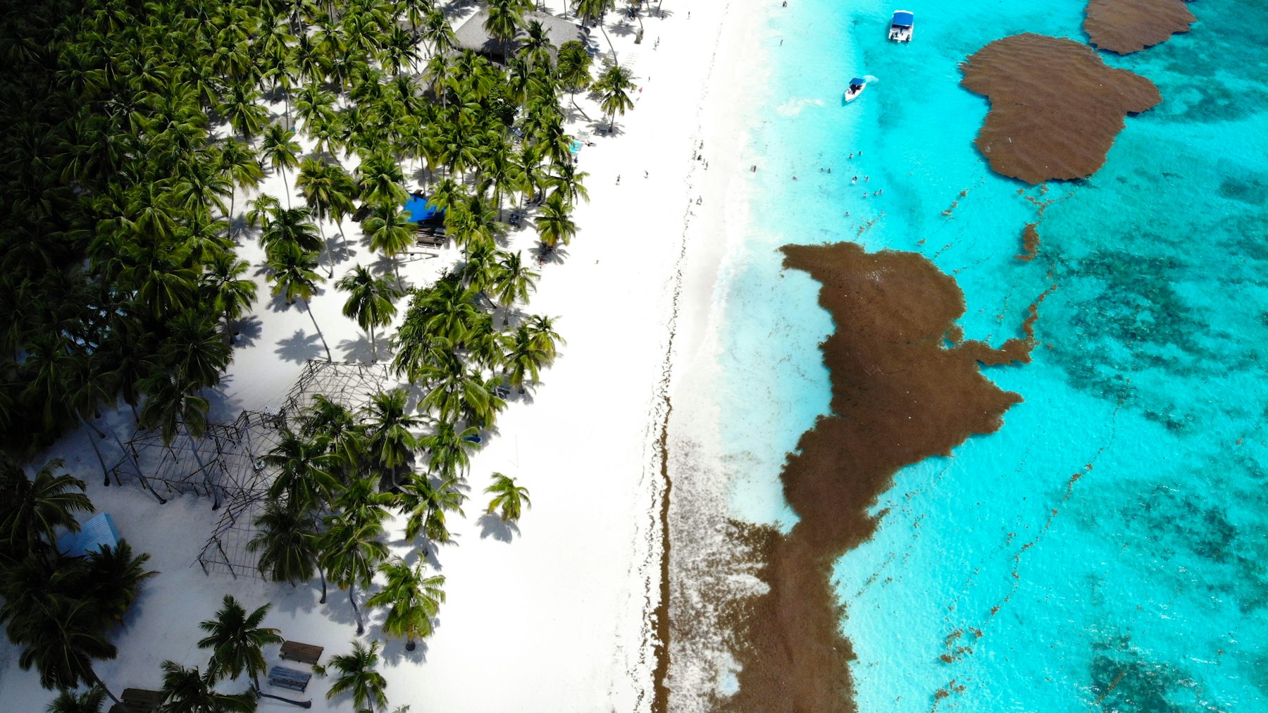 Vista cenital de una playa de Punta Cana con manchas de sargazo en el agua turquesa.