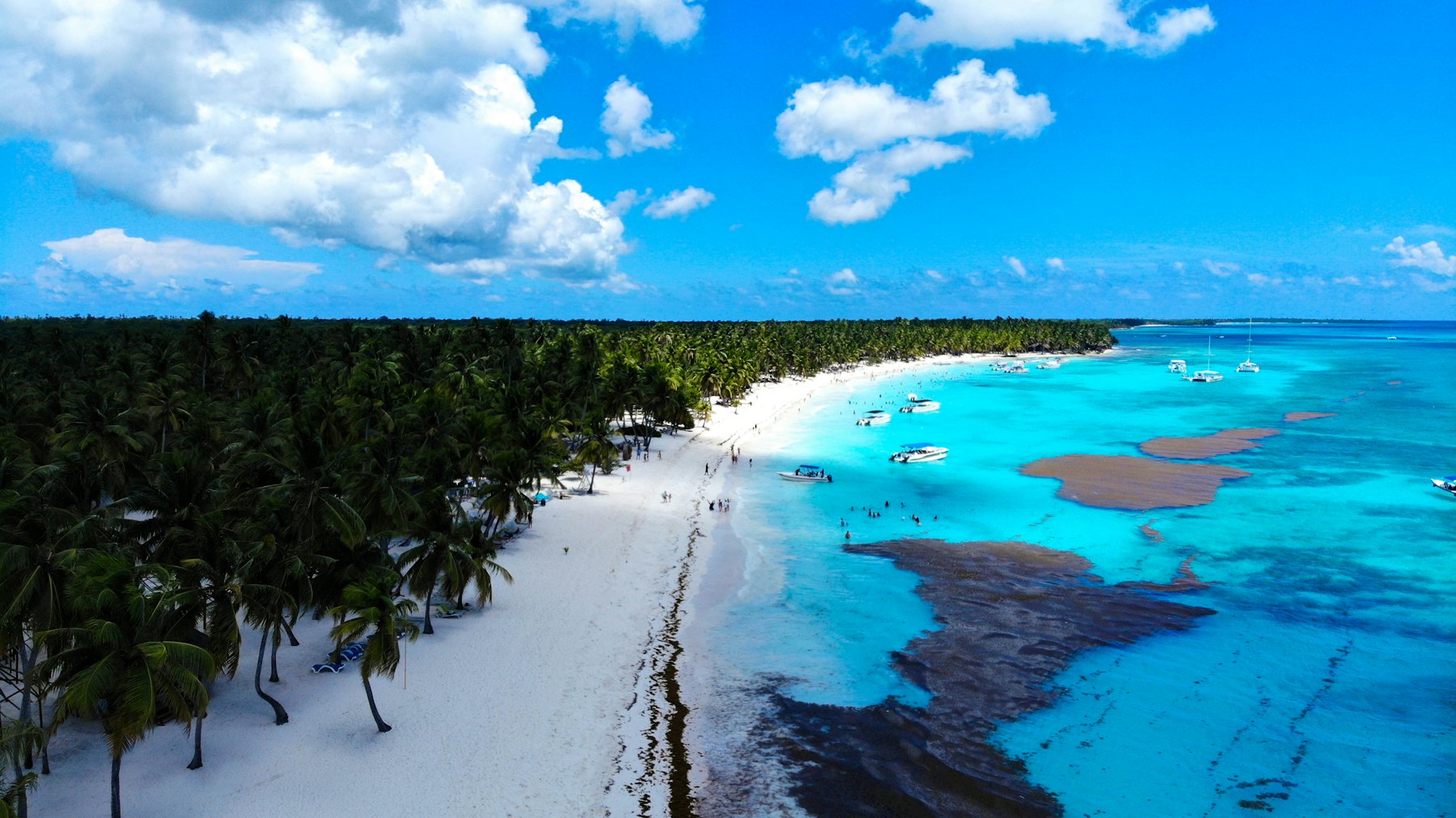 Vista aérea de una playa de Punta Cana con manchas de sargazo en el agua, junto a la orilla.
